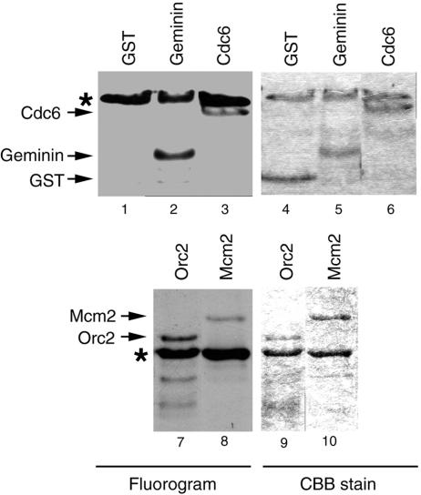 FIG. 9.