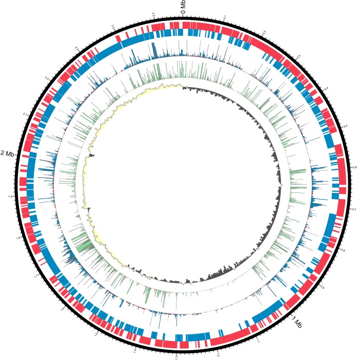 FIG 1