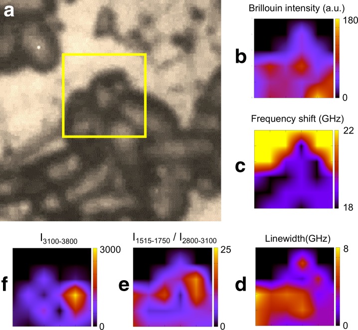 Fig. 4