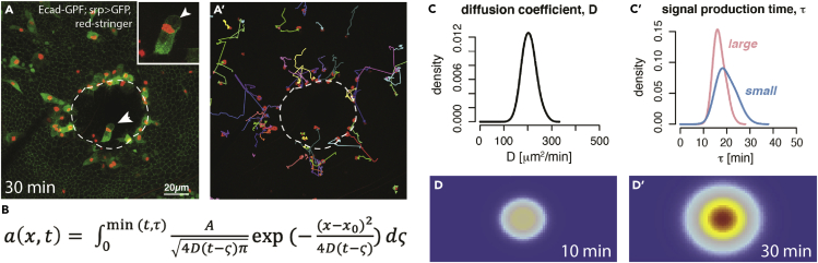 Figure 4