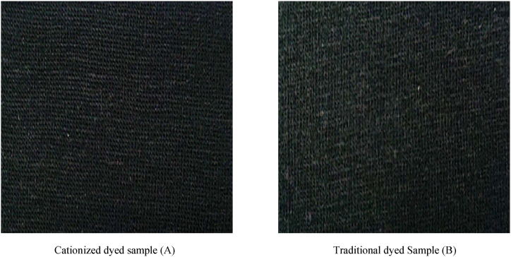 Fig. 10