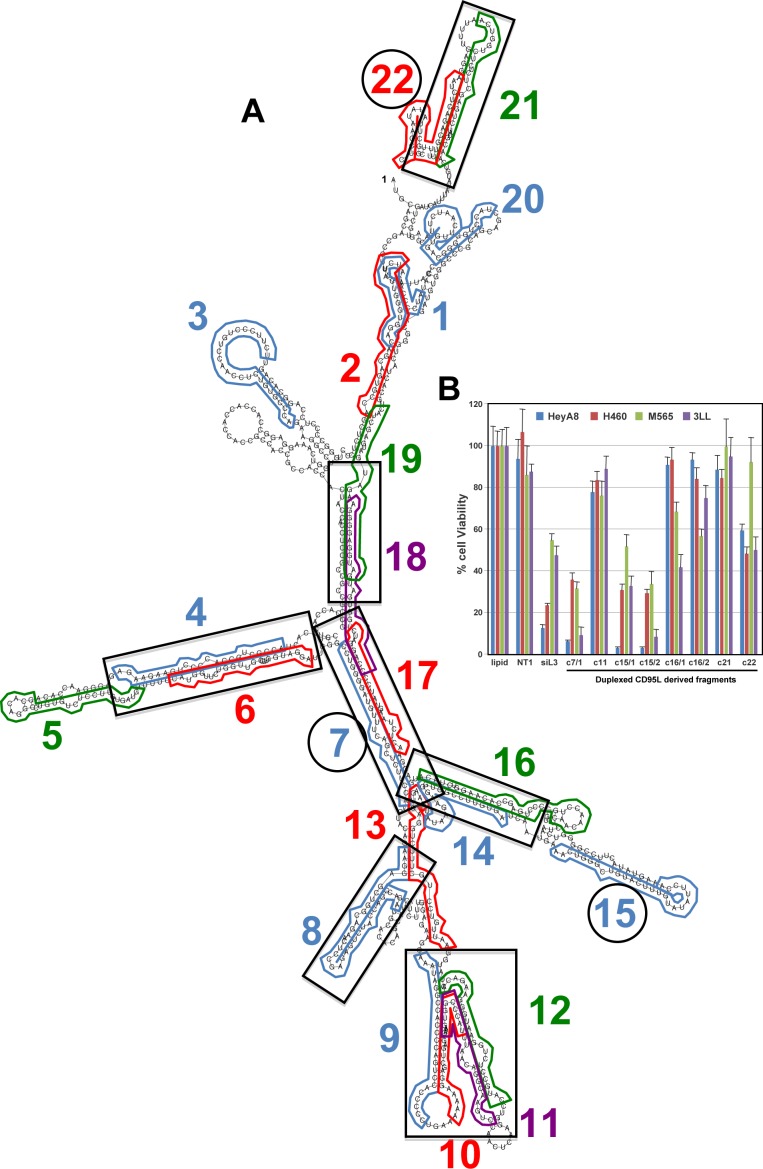 Figure 4—figure supplement 1.