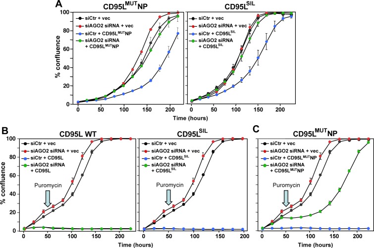 Figure 3—figure supplement 1.