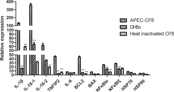 Fig 8