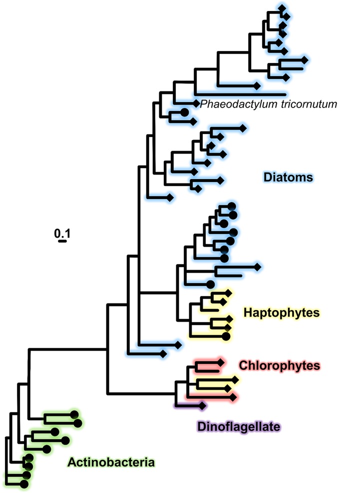 Fig. 6.