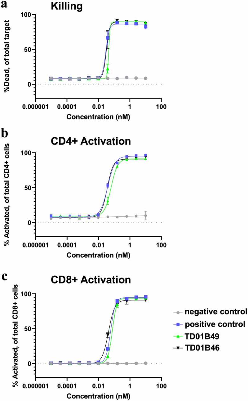 The corresponding stapled and unstapled bispecifics show similar killing activity of cancer cells through CD3 redirection. Both the scFv- and spFv-bispecific activate CD4+ and CD8+ T cells similarly.