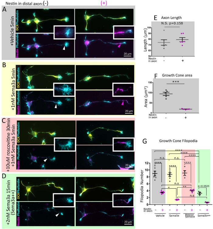 FIGURE 4: