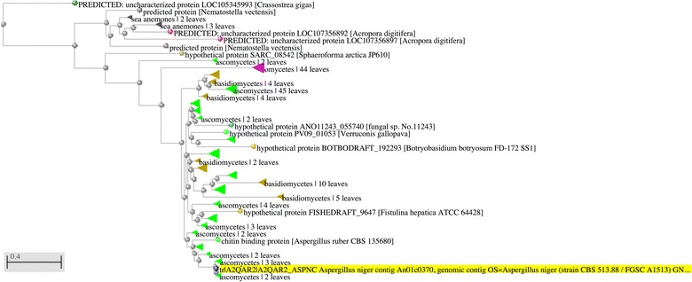 Fig. 3