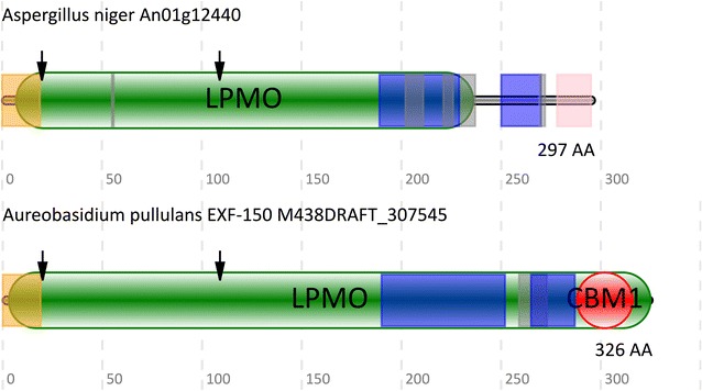 Fig. 4