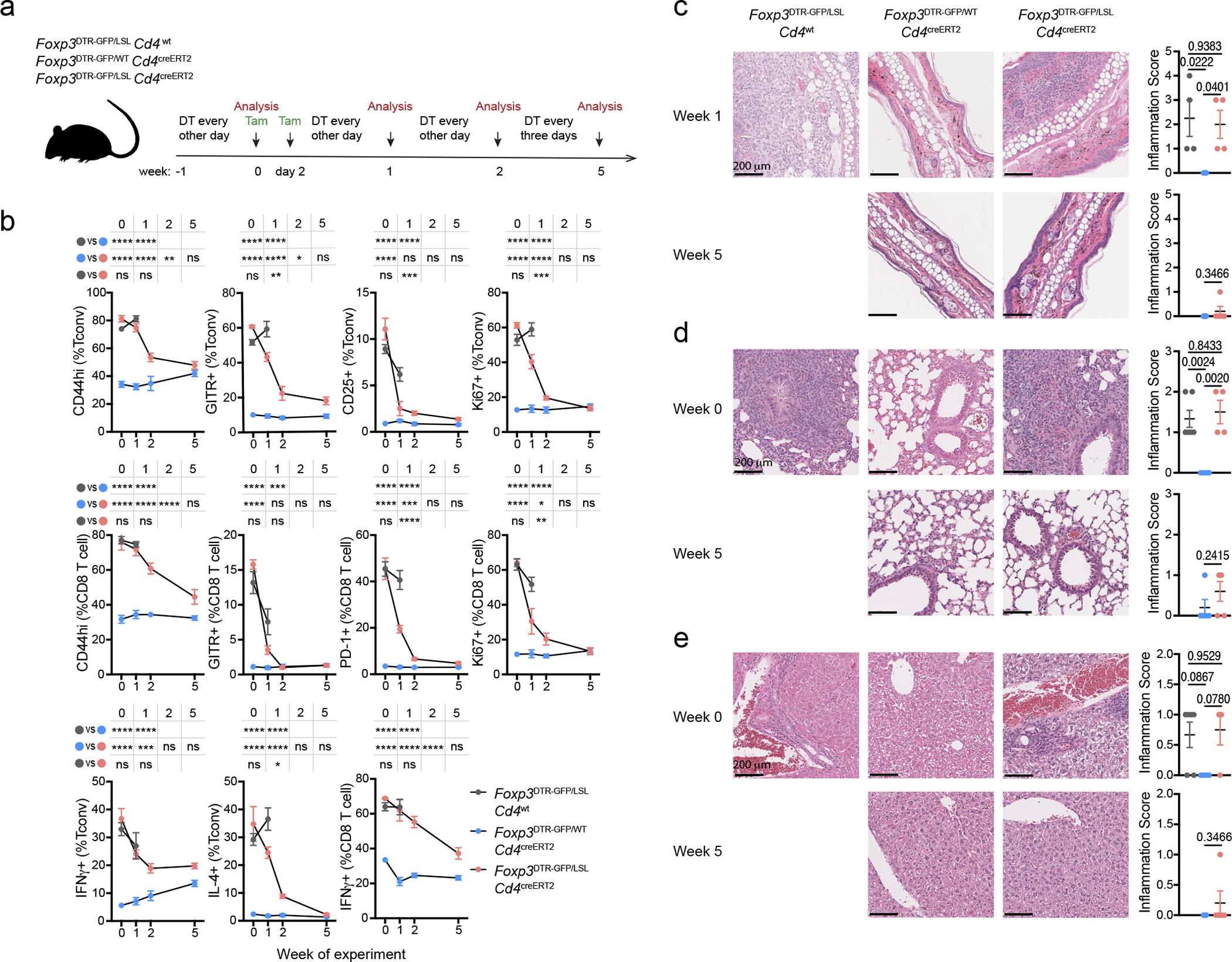 Figure 2 |