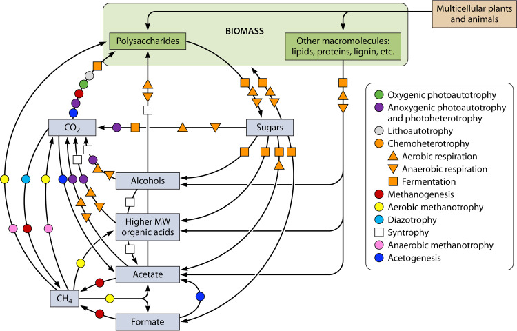 FIG 3