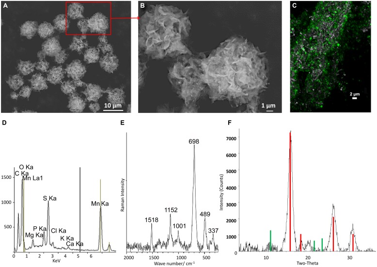 FIGURE 3