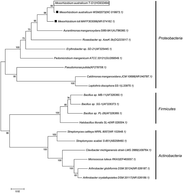 FIGURE 2