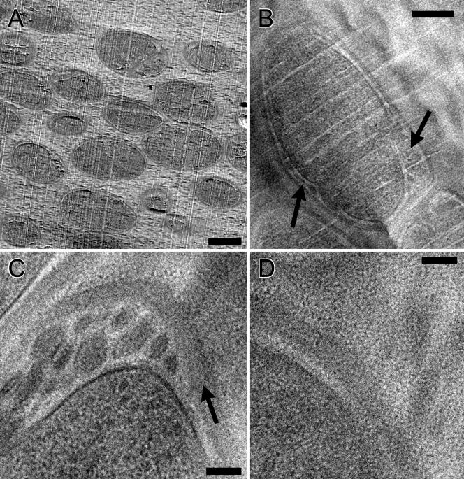 FIG. 6.