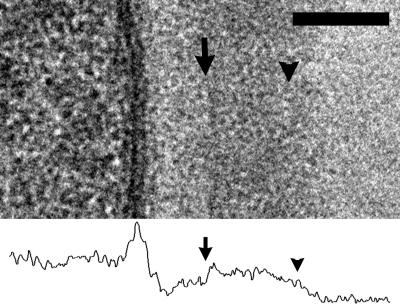 FIG. 9.