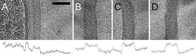 FIG. 8.