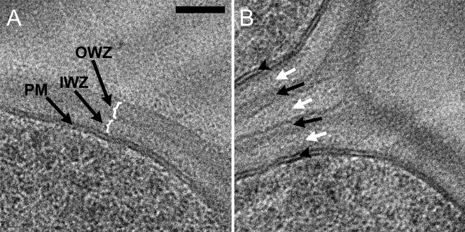 FIG. 5.