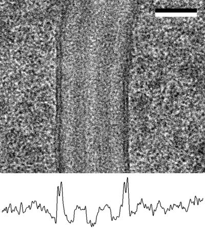 FIG. 10.