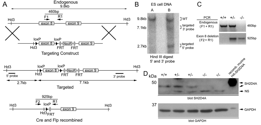 FIGURE 3