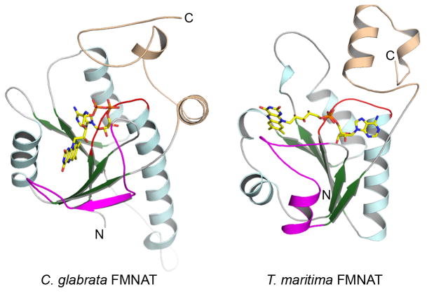 Figure 9