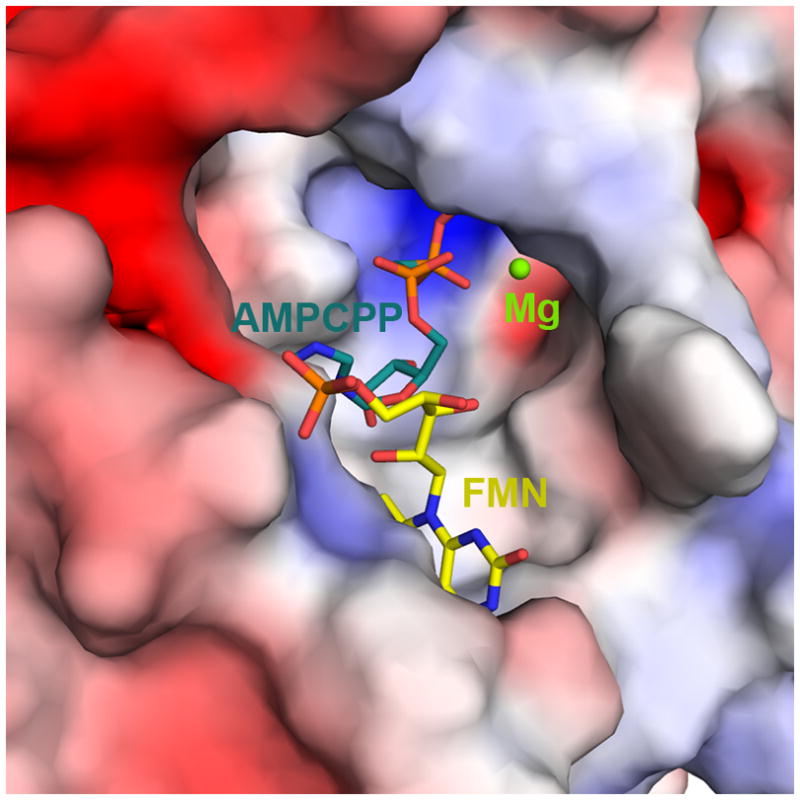 Figure 7