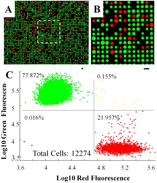 Fig. 3