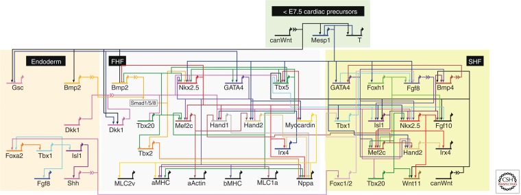 Figure 4.