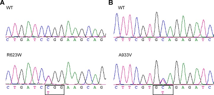 Fig 1