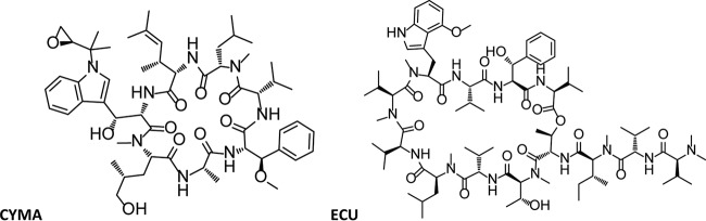 FIG 1