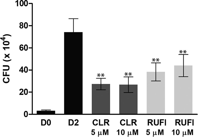 FIG 6