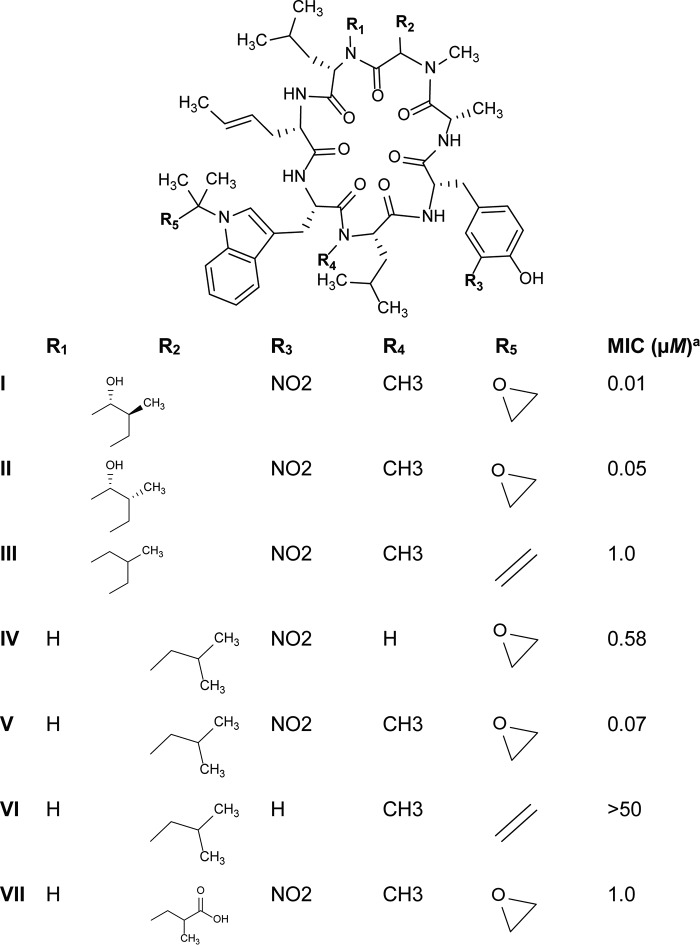 FIG 2