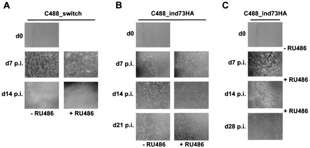 FIG. 6.