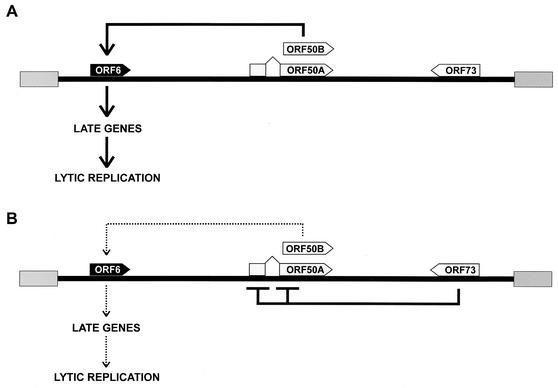 FIG. 8.