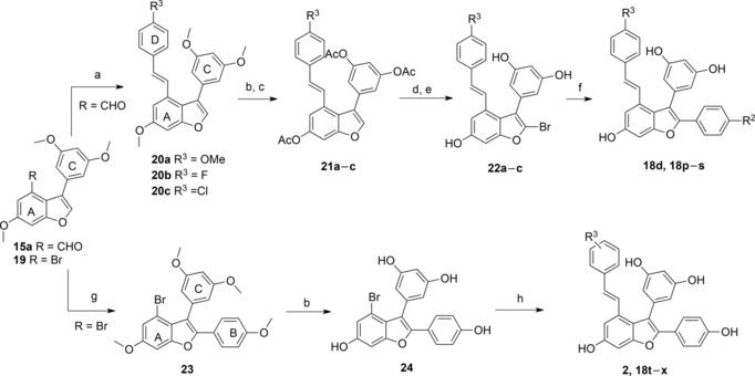 Scheme 3