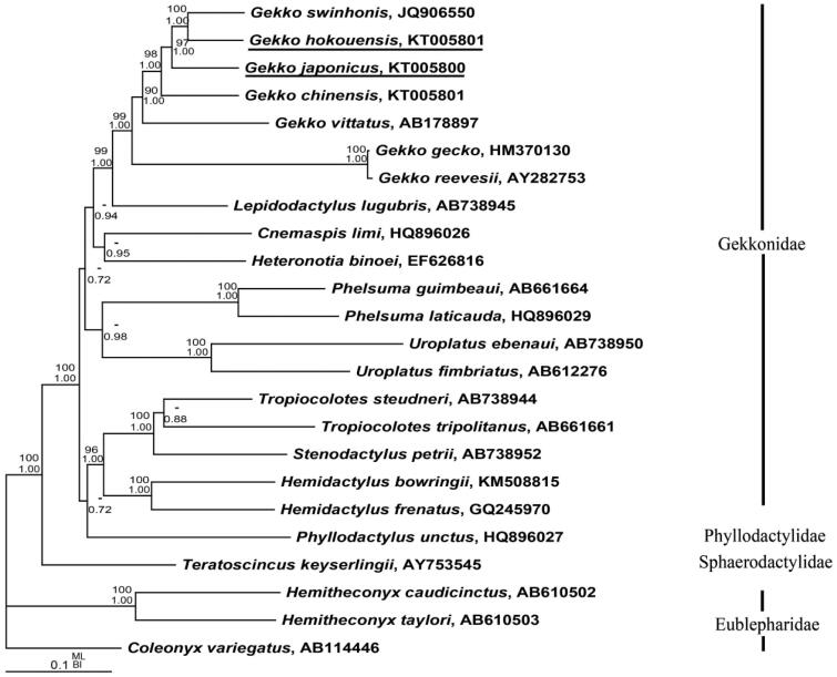 Figure 1.