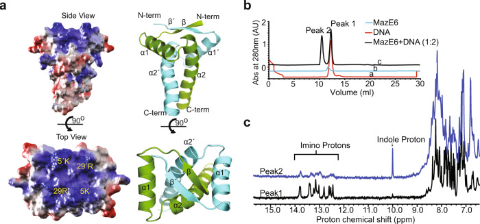 Fig. 4