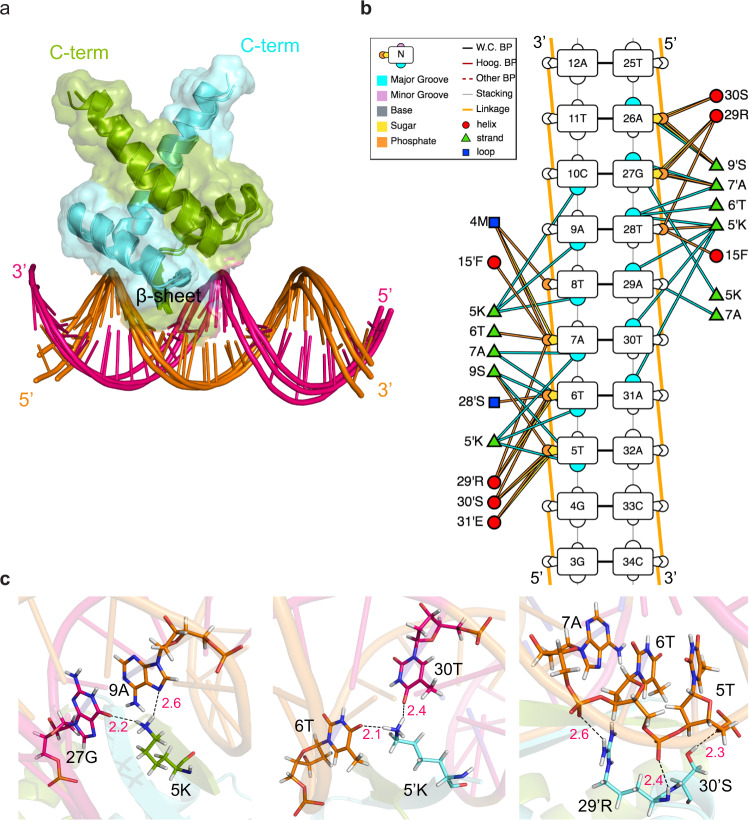 Fig. 7