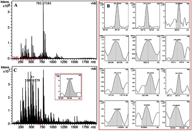 Figure 11