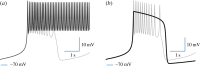 Figure 5.