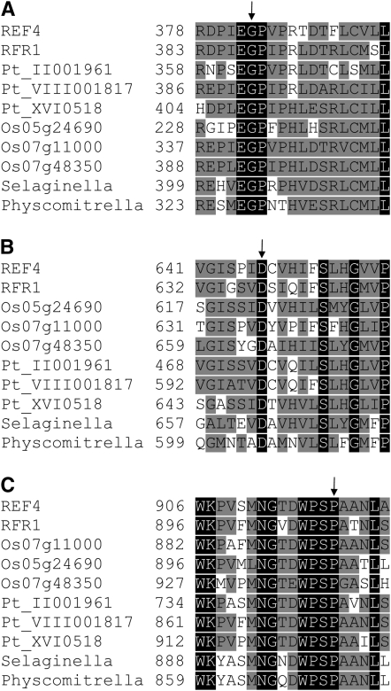 Figure 10.—