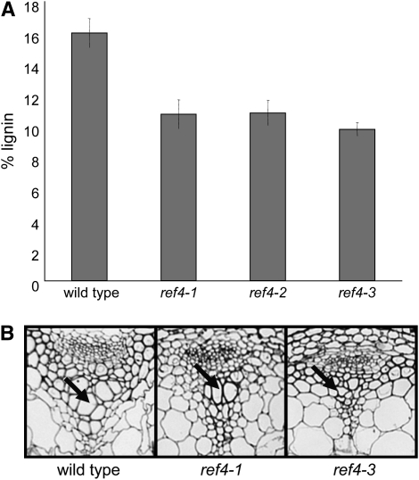 Figure 2.—