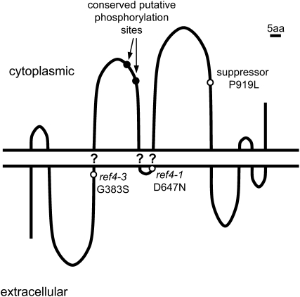 Figure 11.—