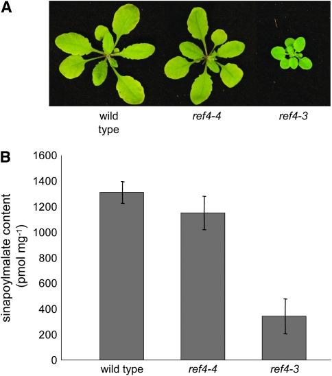 Figure 5.—