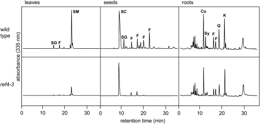 Figure 1.—