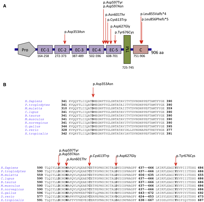 Figure 2