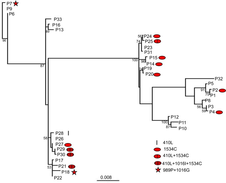 Fig 5