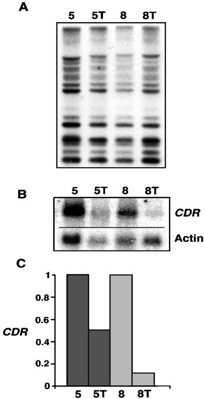 FIG. 5