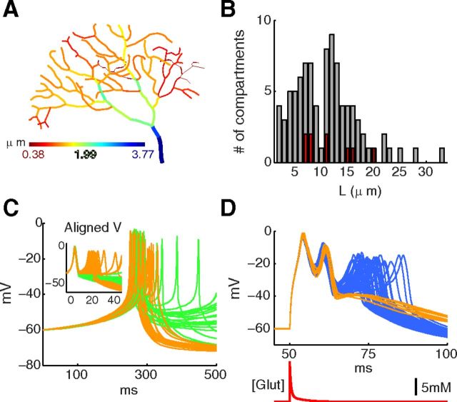 Figure 10.