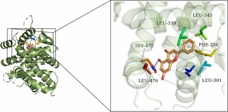 Figure 6.