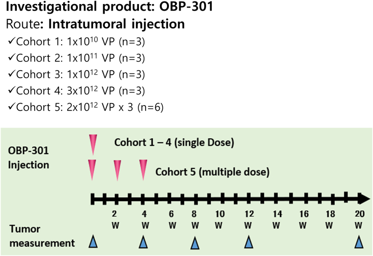 Figure 7